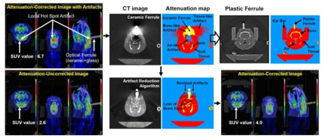 광유전학적 PET에서 CT를 이용한 감쇠 보정 문제와 해결