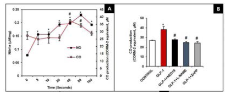 췌장 β-cell에서 GLP-1에 의한 인슐린 분비에서 NO 및 CO의 역할 규명. A, GLP-1에 의한 NO 및 CO의 생성. B, NAADP antagonist인 NED-19에 의해 GLP-1에 의한 CO 생성 억제