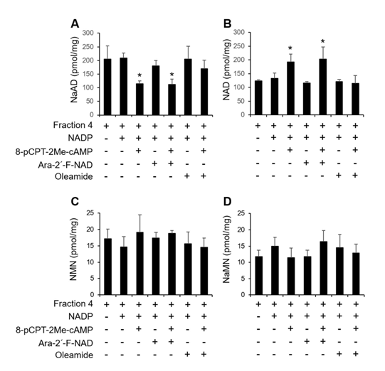 세포 신호로 인한 NAADP 생성시 이용되는 기질 규명. Epac activator (8-pCPT-2Me-cAMP) 처리 시 late endosome내 NaAD (A), NAD (B), NMN (C), NaMN (D)의 변화