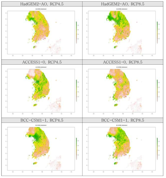 서로 다른 GCM과 RCP를 사용한 미래 종 분포 예측 결과