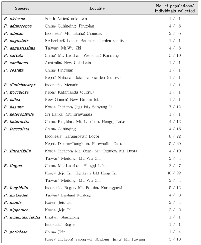 Pyrrosia and closely related taxa collected and examined in this study