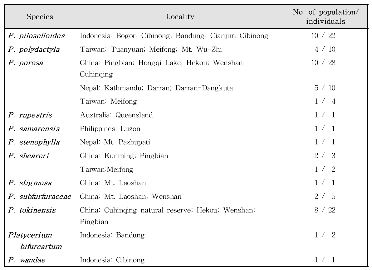 Pyrrosia and closely related taxa collected and examined in this study (continued)