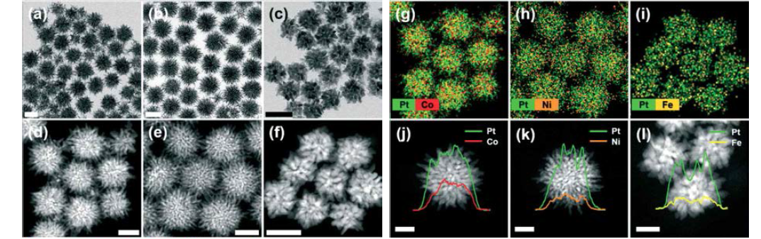 세 가지 종류의 고도로 성장된 다분지 이종금속 나노결정의 (a-c) TEM　이미지, (d-f) HAADF-STEM 이미지, (g-i) EDS elemental mapping 이미지, (j-i) cross-sectional compositional line profiles 이미지