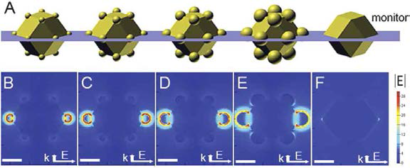 (A) Au nanotetradecapods의 3차원 모델. (B-F) FDTD 전산모사를 통해 얻은 Au nanotetradecapods의 전기장 분포도