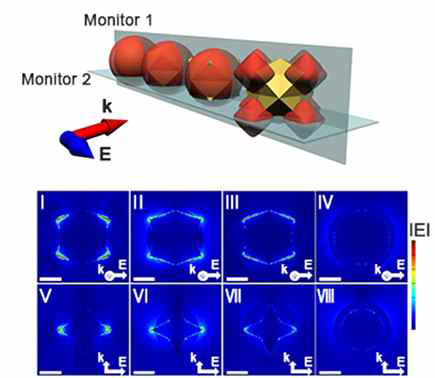 FDTD 전산모사 모식도 및 계산된 electric field 이미지