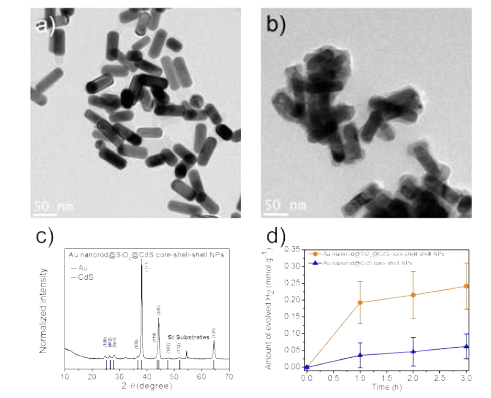 (a) Au nanorod@SiO2 코어-쉘 나노결정의 TEM 이미지. Au nanorod@SiO2@CdS 코어-쉘-쉘 나노결정의 (b) TEM 이미지, (c) X-ray diffraction (XRD) 패턴, (d) 시간별 수소 발생량