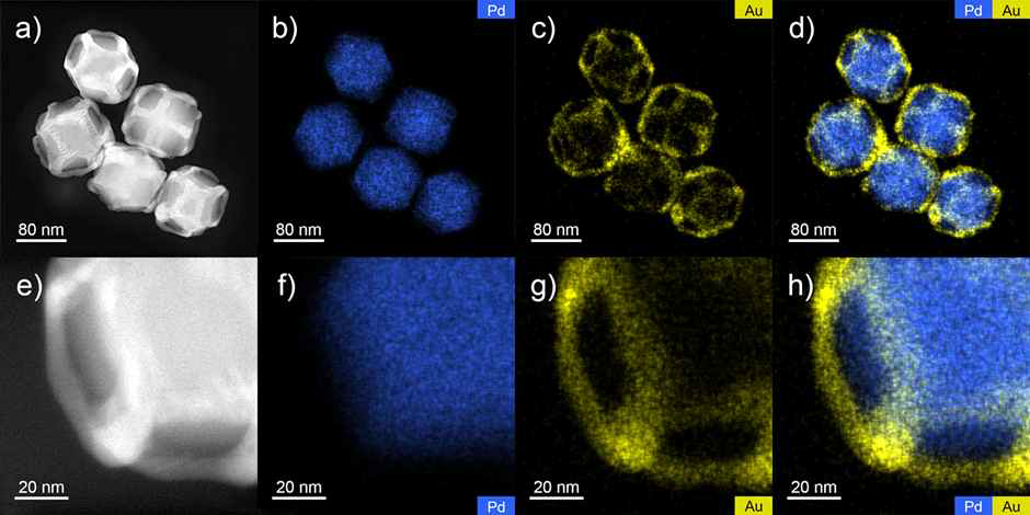E-CRD Pd NCs의 (a-d) 저배율, (e-h) 고배율 HAADF-STEM 이미지와 EDS mapping 이미지