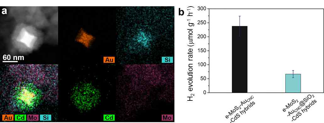 (a) e-MoS2-AuCNC@SiO2-CdS 하이브리드 아키텍처의 HAADF-STEM 이미지 및 EDS mapping 이미지. (b) SiO2 층 유무에 따른 광촉매 활성 비교