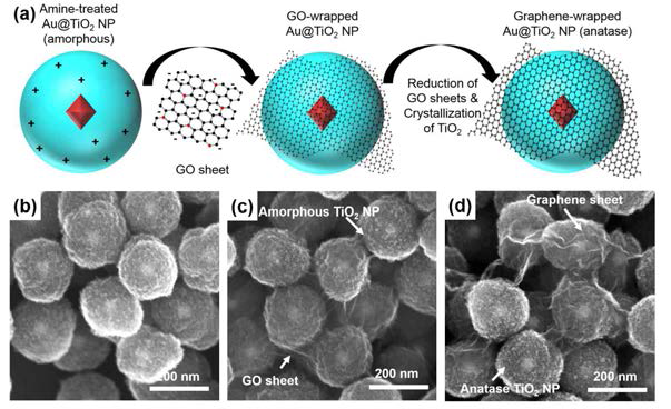 (a) Au@TiO2@그래핀 코어-쉘 하이브리드 아키텍처 합성 모식도. (b) 합성된 Au@TiO2 코어-쉘 나노결정, (c) GO가 감싸진 Au@TiO2 코어-쉘 나노결정, (d) Au@TiO2@그래핀 코어-쉘 하이브리드 아키텍처의 SEM 이미지