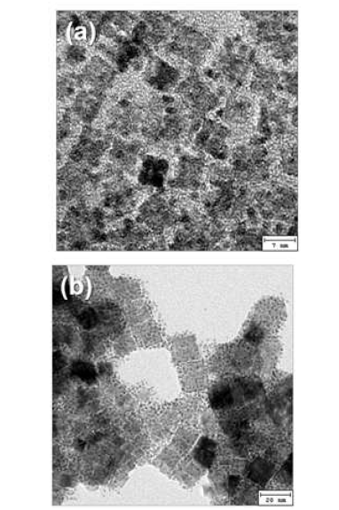 (a) 오목형 정육면체 CeO2 나노결정과 (b) 정육면체 CeO2 나노결정을 이용하여 합성된 Pt-CeO2 하이브리드 나노구조의 TEM 이미지