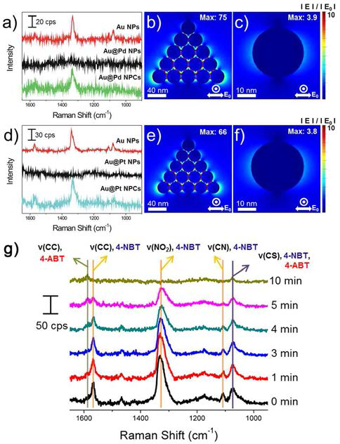 다양한 나노구조를 이용해 얻은 4-NBT의 SERS 스펙트럼: (a) Au@Pd 이종금속 단일 나노입자 및 어셈블리와 단일 Au 나노입자, (d) Au@Pt 이종금속 단일 나노입자 및 어셈블리와 단일 Au 나노입자. FDTD 전산모사를 통해 얻은 전기장 분포도: (b) Au@Pd 이종금속 나노입자 어셈블리, (c) 단일 Au@Pd 이종금속 나노입자, (e) Au@Pt 이종금속 나노입자 어셈블리, (f) 단일 Au@Pt 이종금속 나노입자. (g) 4-NBT의 4-ABT로의 환원 반응을 Au@Pd 이종금속 나노입자 어셈블리를 통해 관찰한 SERS 스펙트럼
