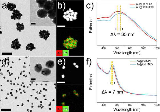어셈블리 된 Au@Pd 나노입자의 (a) TEM 이미지, (b) HAADF-STEM-EDS 원소분석 이미지, (c) 수소 검출 전후 UV-vis 스펙트럼. 단일 Au@Pd 나노입자의 (d) TEM 이미지, (e) HAADF-STEM-EDS 원소분석 이미지, (f) 수소 검출 전후 UV-vis 스펙트럼