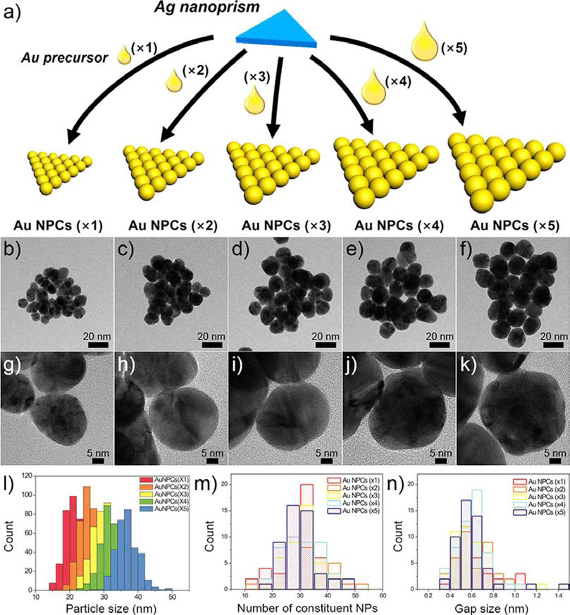 (a) Au 전구체 양 조절을 통해 제어된 구성 나노입자 크기를 갖는 Au 나노입자 어셈블리 구현 모식도. Au 나노입자 어셈블리의 TEM 이미지: (b,g) Au NPCs (x1), (c,h) Au NPCs (x2), (d,i) Au NPCs (x3), (e,j) Au NPCs (x4), (f,k) Au NPCs (x5). Au 나노입자 어셈블리의 (l) 평균 구성 나노입자 크기 분포도, (m) 평균 구성 나노입자 개수 분포도, (n) 평균 입자간 간격 분포도