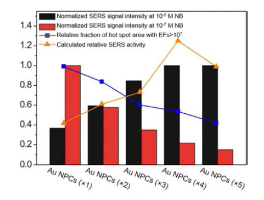다양한 구성 나노입자 크기를 갖는 Au 나노입자 어셈블리의 NB 농도에 변화에 따른 595 cm-1 SERS 신호 세기 및 FDTD 전산모사를 통해 계산된 SERS 활성 및 hot spot (EF > 107) 밀도