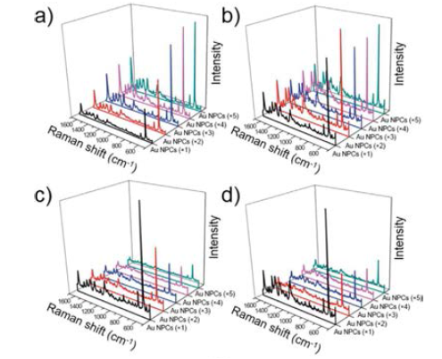 다양한 구성 나노입자 크기를 갖는 Au 나노입자 어셈블리의 NB 농도에 변화에 따른 SERS 스펙트럼: (a) NB (10-5 M), (b) NB (10-6 M), (c) NB (10-7 M), (d) NB (10-8 M)