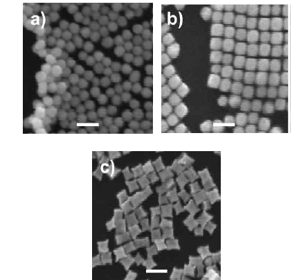 (a) 구형, (b) cube, (c) concave cube 모양의 Au 나노결정의 SEM 이미지. 스케일 바는 100 nm를 나타낸다