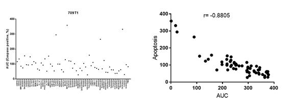 세포 영상 분석을 통해 나타난 세포사멸 지표 결과 (왼쪽)와 약물 반응성 (AUC)와 세포사멸과의 상관관계 검증