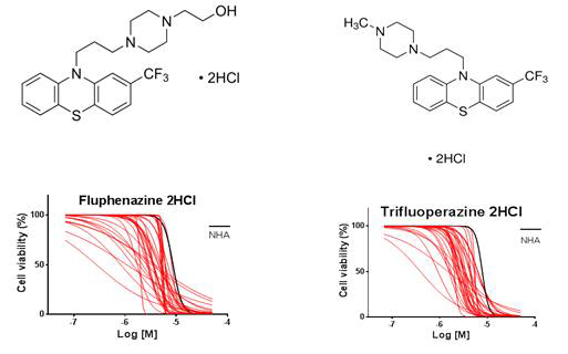 도파민 억제제 Fluphenazine과 Trifluoperazine의 화학 구조와 약물 반응 결과