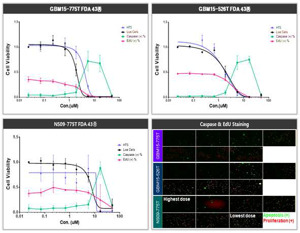 N775T, G775T, 526T 환자유래세포의 Fluphenazine 약물반응 HCS 결과