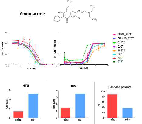 Amiodarone에 대해 감수성 차이를 보이는 환자 유래세포 2종에 대한 HTS/HCS 결과