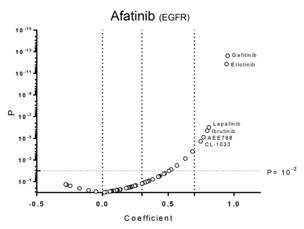 Afatinib과의 환자유래세포에 대한 효능 유사성 분석