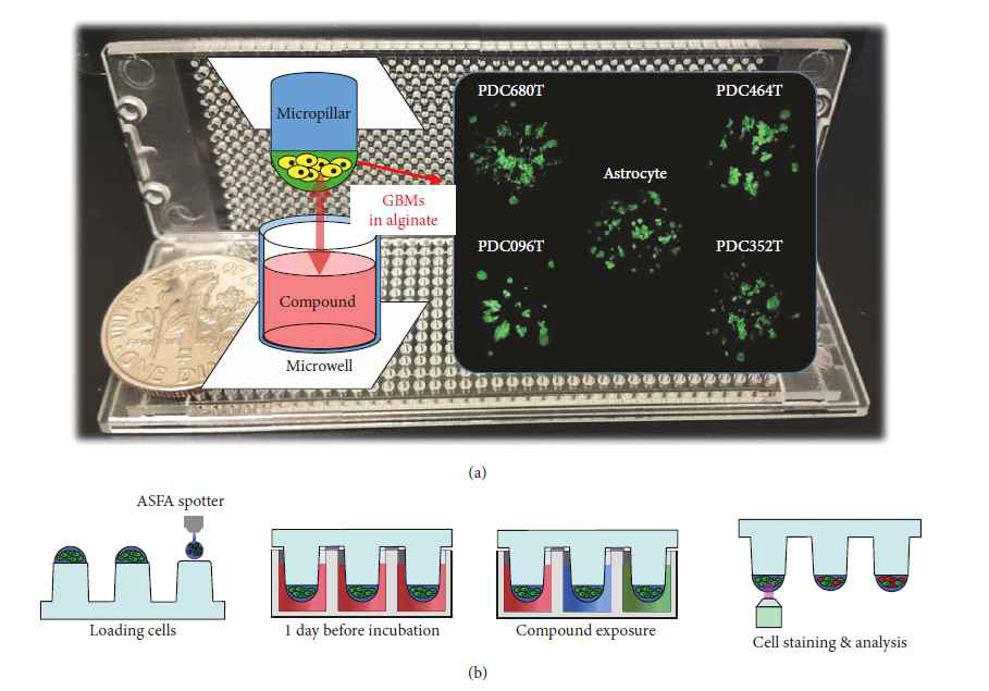 3D cell-based high-throughput screening chips