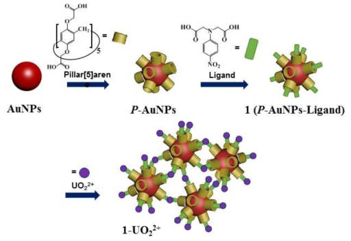 우라닐 이온의 검출을 위한 NPD 리간드 (I)와 필러아렌이 도입된 금나노입자 (1)의 제조 모식도