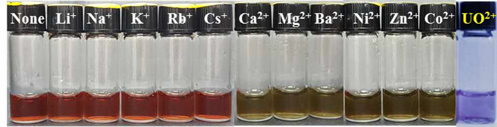 수용액상에서 제조된 금 나노입자 1 (None)와 다양한 금속 이온 (Li+, Na+, K+, Rb+, Cs+, Ca2+, Mg2+, Ba2+, Ni2+, Zn2+, Co2+ 및 UO22+)을 첨가한 1의 사진