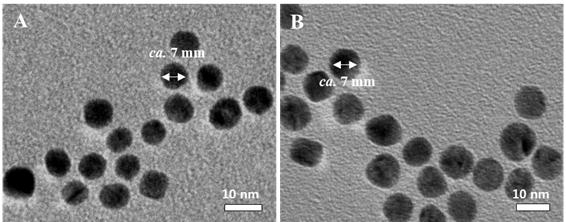 수용액에서 K+와 (A) Ca2+를 (B) 각각 첨가한 나노 구조체 1의 투과전자현미경 사진