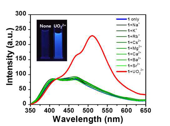 리간드 B (1 only)과 다양한 금속 이온 (Na+, K+, Rb+, Cs+, Mg2+, Ca2+, Ba2+, 및 Sr2+)을 첨가한 B의 형광 스펙트럼