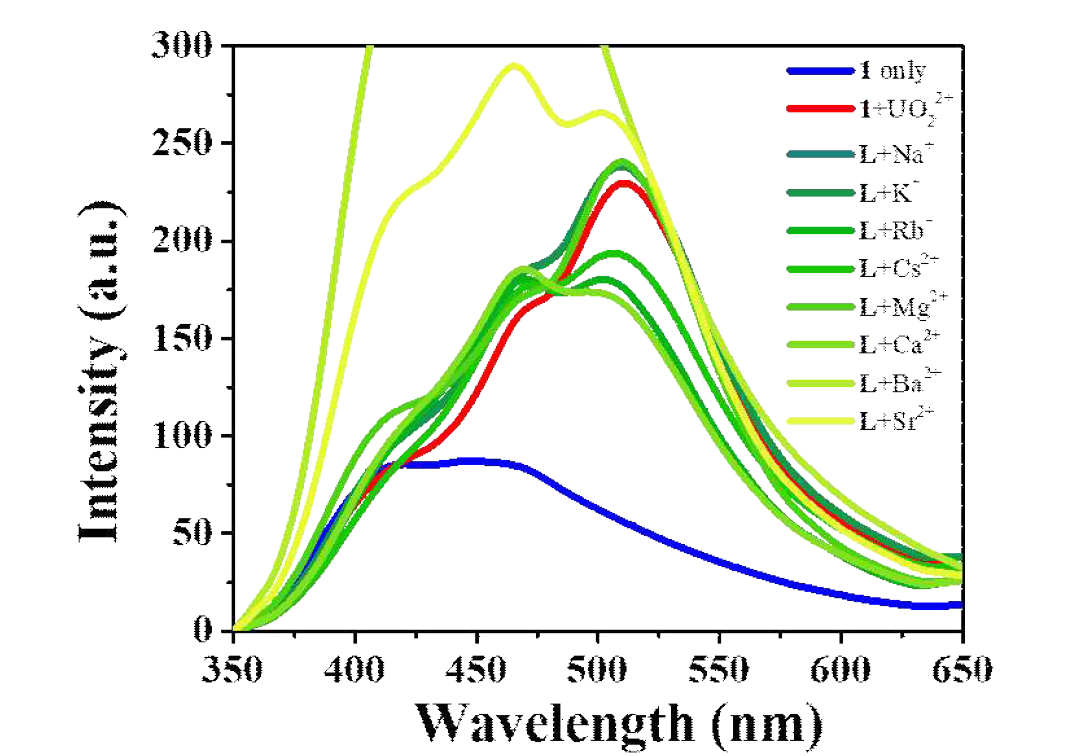 리간드 B (1 only)와 UO22+이 존재할 때 다른 종의 금속 이온 (Na+, K+, Rb+, Cs+, Mg2+, Ca2+, Ba2+, 및 Sr2+)을 첨가한 형광 스펙트럼