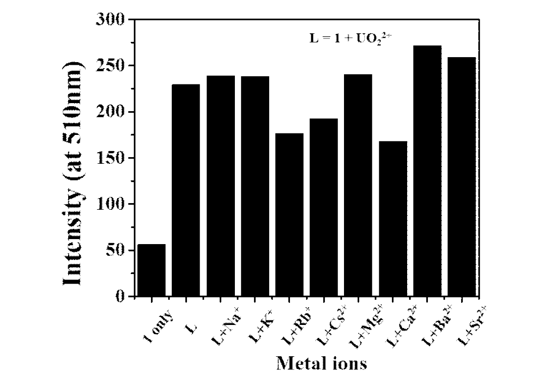 리간드 B (1 only)와 UO22+이 존재할 때 다른 종의 금속 이온 (Na+, K+, Rb+, Cs+, Mg2+, Ca2+, Ba2+, 및 Sr2+)을 첨가한 형광 스펙트럼의 세기 값을 나타낸 막대 그래프
