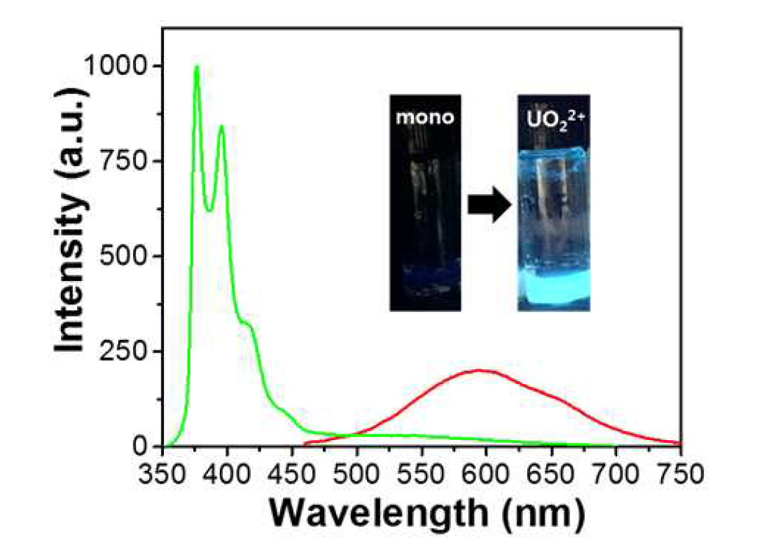 리간드 C 와 UO22+의 첨가에 따른 형광 특성 변화