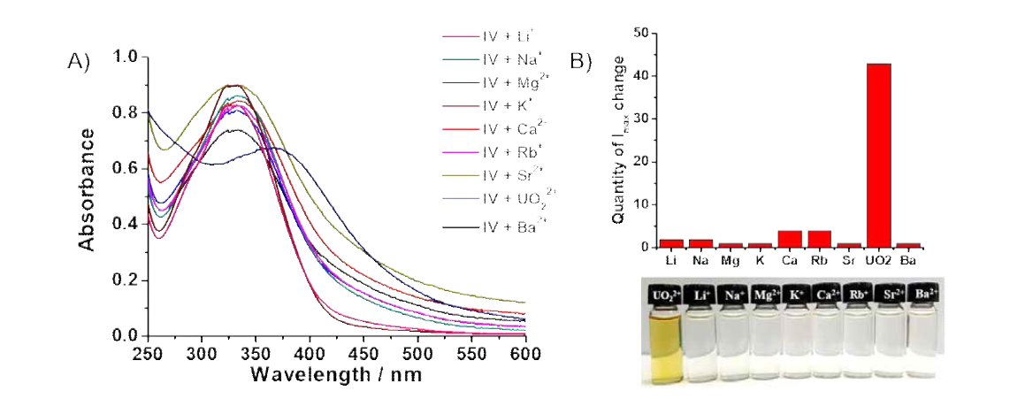 UO22+에 대한 리간드 D 의 선택성 확인 (A) 물과 DMF의 혼합용매(99/1 v/v%)에서 리간드 D 에 UO22+와 그 외 금속(Li+, Na+, K+, Rb+, Mg2+, Ca2+, Sr2+, Ba2+)들을 첨가하였을 때의 UV-Vis 스펙트라 변화 (B) 리간드 D 에 다양한 금속 이온을 첨가했을 때 파장 이동과 색 변화