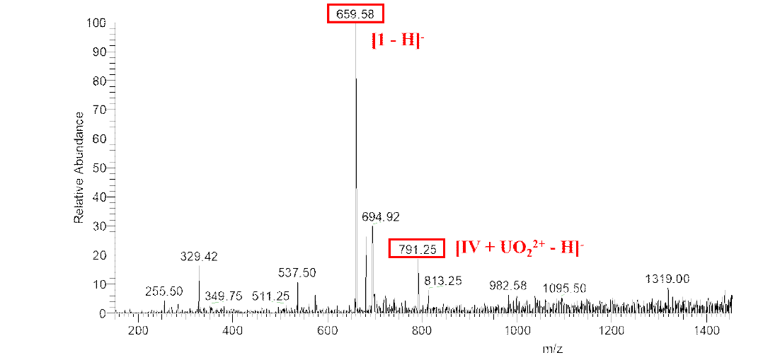 리간드 D 과 UO22+착물의 ESI-mass 스펙트럼