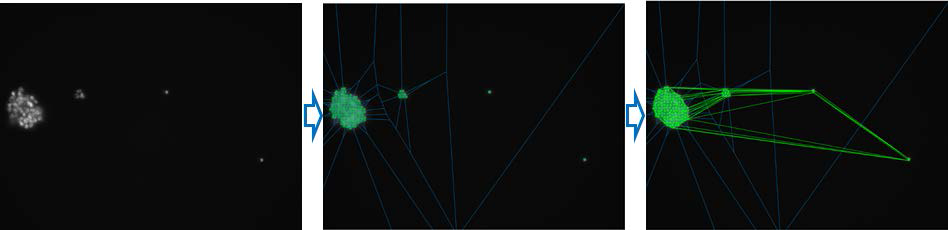 특징 묘사자 추출 과정 (좌) 영상대비 개선영상 (중앙) 중심 보로노이 조각화(파란선) (우)델로네 삼각 분할 (녹색선)