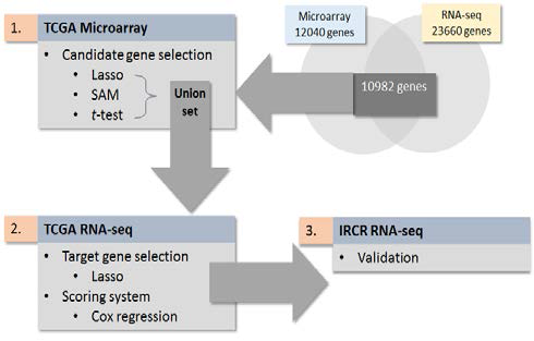 난치뇌종양 환자 유전자 분석 workflow