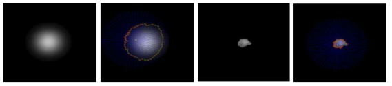 가우시안 함수에 대한 MSBF 테스트 결과 (좌측 이미지 2개), 개별 세포 이미지에 대한 MSBF 실험 결과(우측 이미지 2개)