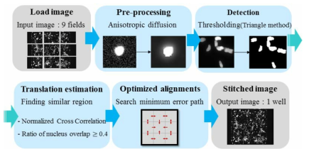 제안된 형광 현미경 스티칭 알고리즘의 파이프라인