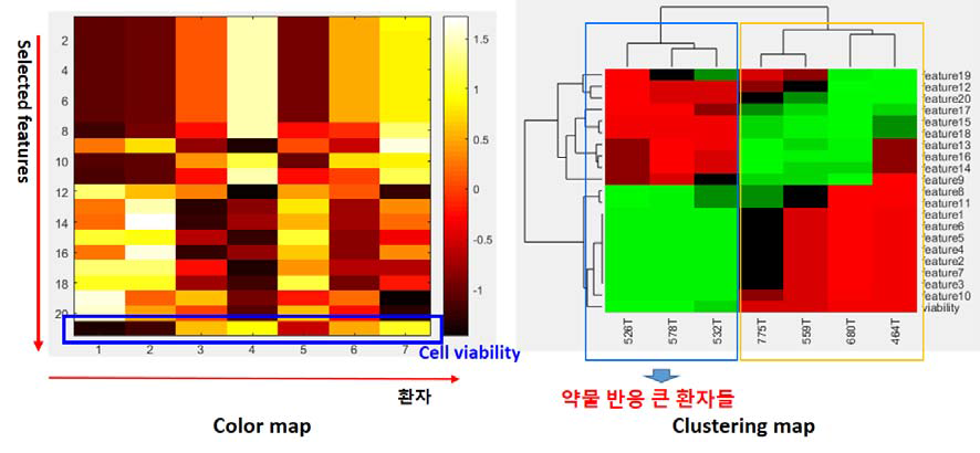 환자별 세포 표현형 특징 및 세포 생존도 값 가시화