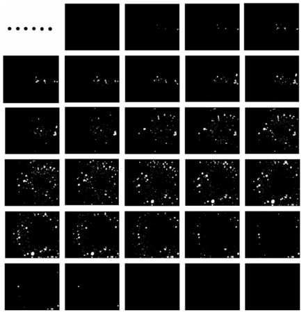 MSBF와 현미경의 NA, depth of field를 이용한 세포의 단층 영상 추정 결과