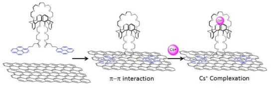 세슘 이온 receptor와 그래핀의 결합 및 세슘 이온 검출
