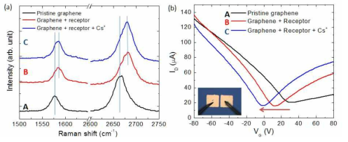 그래핀 FET를 이용한 세슘 이온 검출 특성 검증. (a) 라만 분광법에 의한 분석 결과. (b) 그래핀 FET 소자 특성 측정 결과