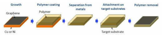 그래핀의 습식 전사 공정 모식도