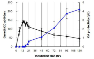 S. clavuligerus 성장 곡선과 clavulanic acid 생산량