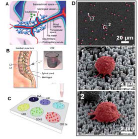 실리콘 나노구조를 이용한 백혈구의 phenotyping [Kwak et al., 2014]