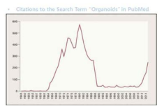 Pubmed 상에서 Organoid 단어의 빈도