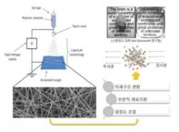 투명 3차원 나노섬유 지지체 개발 모식도