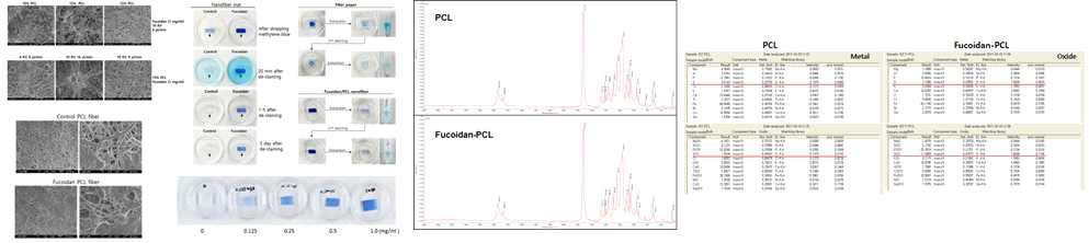 전기방사로 제작한 fucoidan 함유 PCL 나노섬유의 전자현미경 사진, methylene blue 염색정도, Fucoidan-PCL의 WD-XRF 분석을 통한 sulfur 함량 비교분석 결과