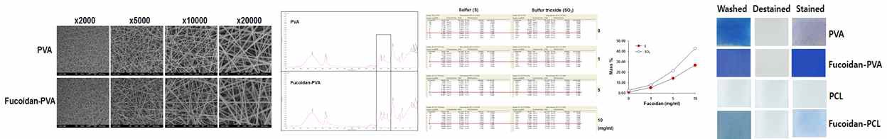 Fucoidan-PVA 나노섬유의 직경과 공극을 나타내는 전자현미경 결과, Fucoidan-PVA 나노섬유의 FT-IR 분석결과, Fucoidan-PVA의 WD-XRF 분석을 통한 sulfur 함량 비교분석 결과, Fucoidan-PVA에 fucoidan을 검출하기 위한 methylene blue 염색 결과